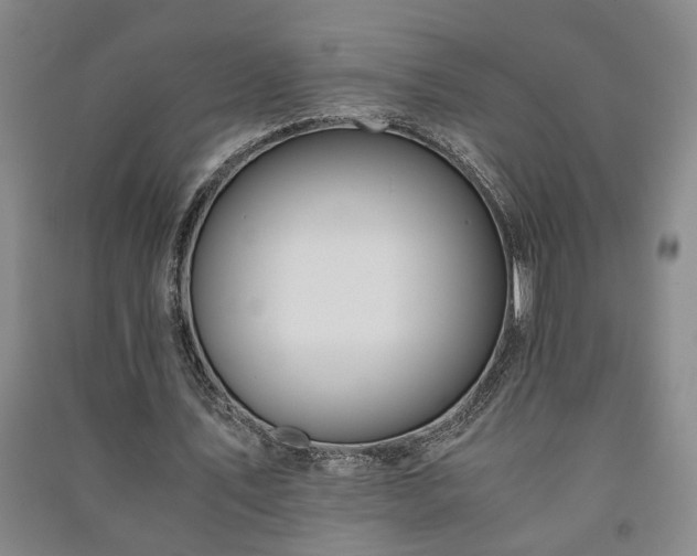 X0000091220579200708161658