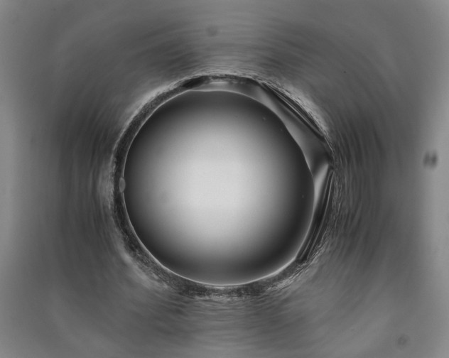 X0000091220580200708161658