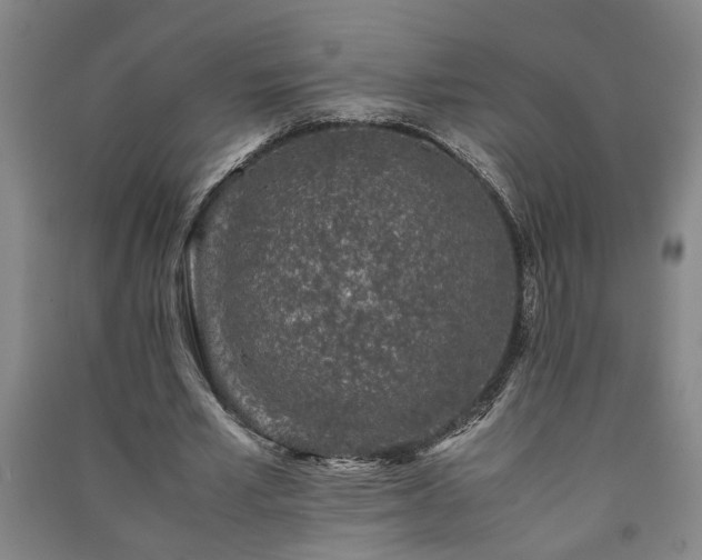 X0000091220581200708161658