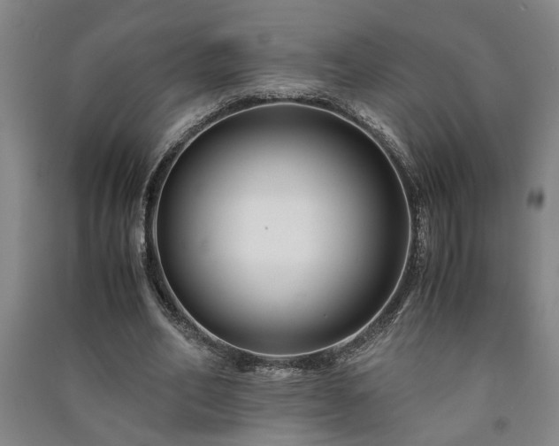 X0000091220582200708161658