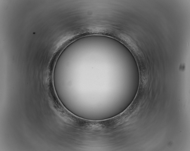 X0000091220583200708161658