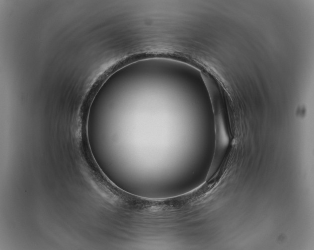 X0000091220584200708161658