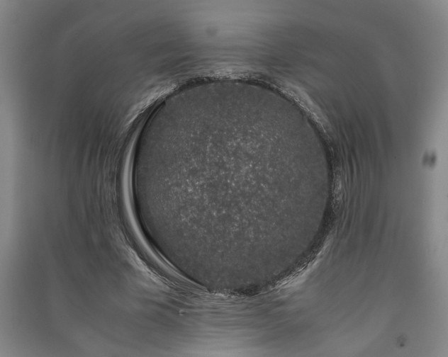 X0000091220585200708161658