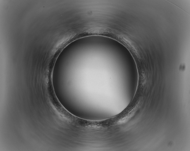 X0000091220586200708161658