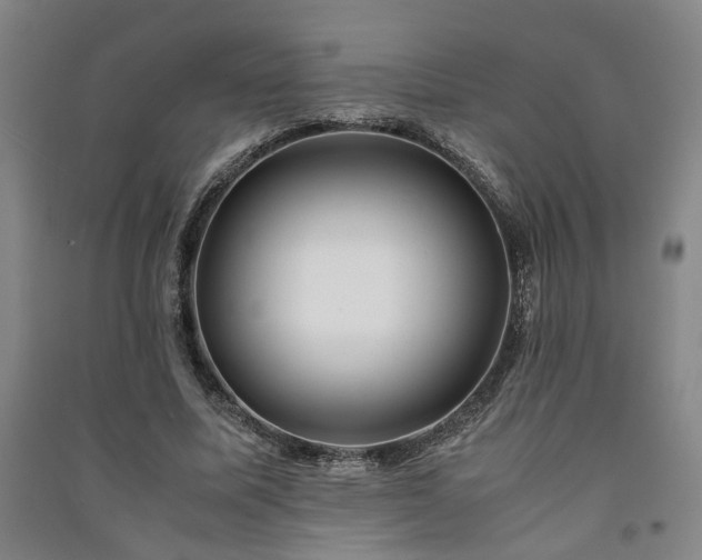 X0000091220587200708161658