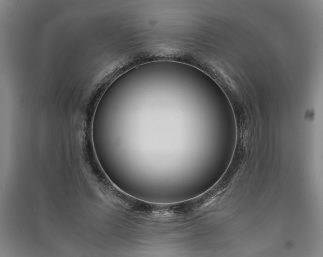 X0000091220591200708161658