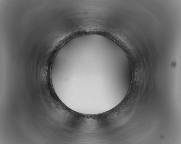 X0000091220592200708161658