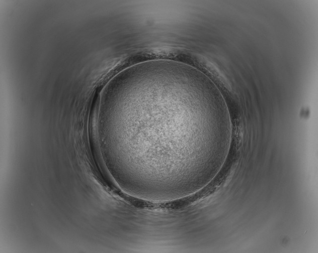 X0000091220593200708161658