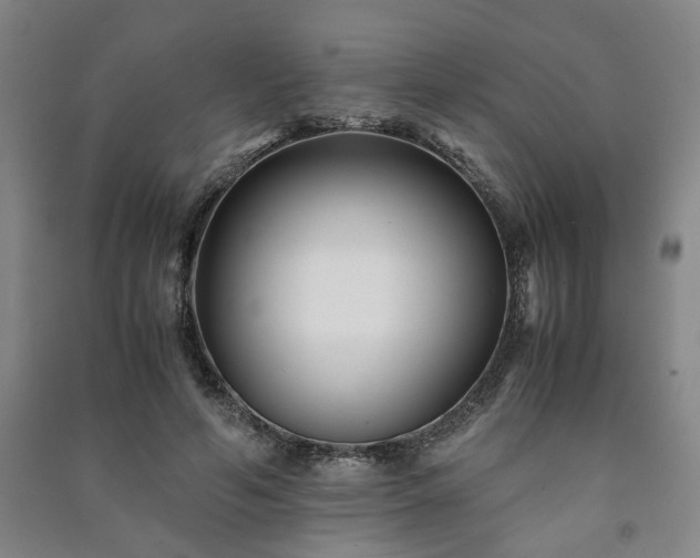 X0000091220594200708161658