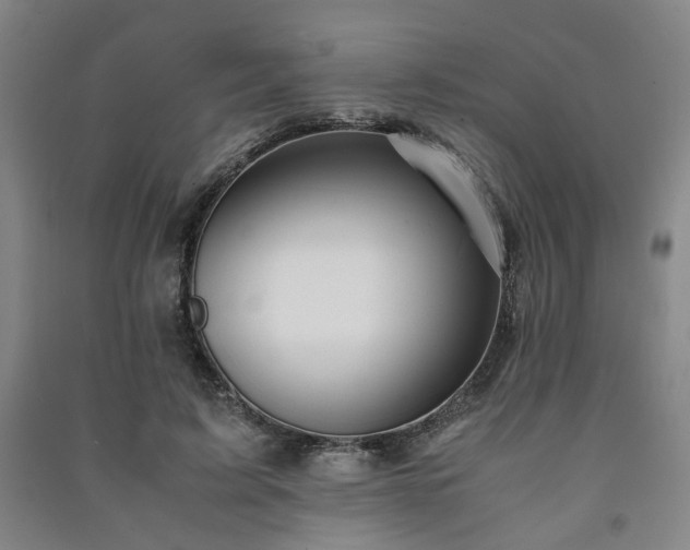 X0000091220595200708161658