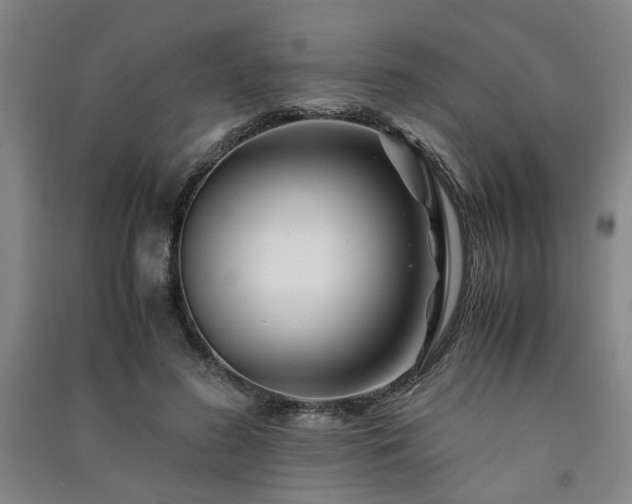 X0000091220596200708161658