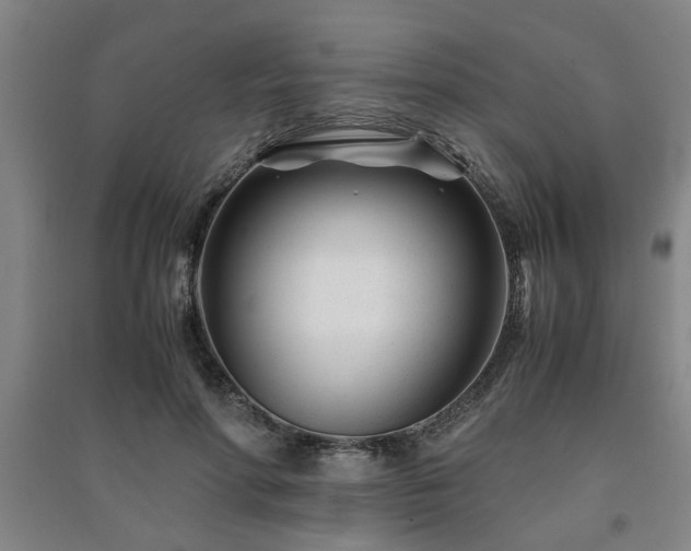 X0000091220598200708161658