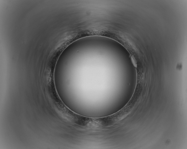 X0000091220599200708161658