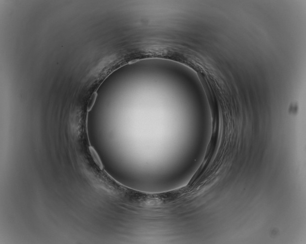 X0000091220600200708161658