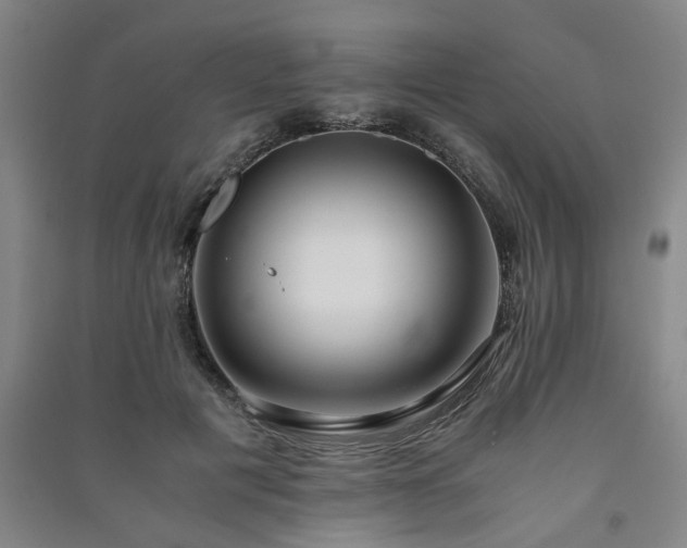 X0000091220601200708161658