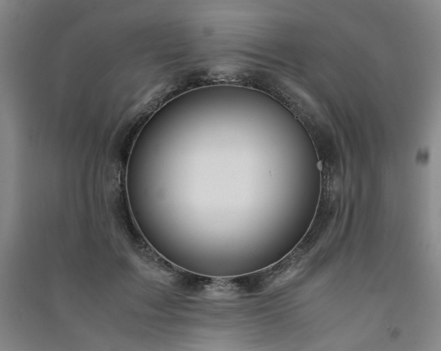 X0000091220603200708161658