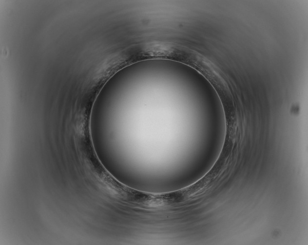 X0000091220604200708161658