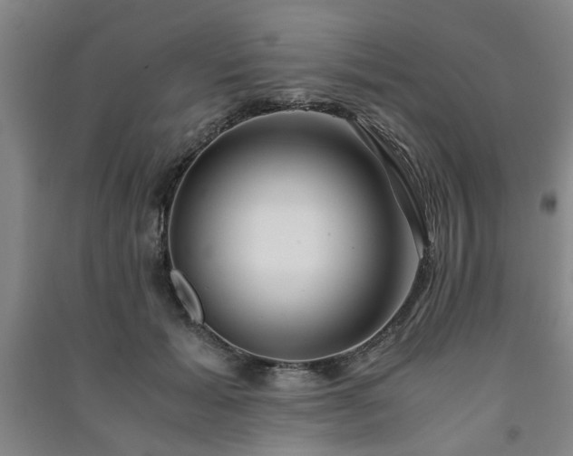 X0000091220605200708161658