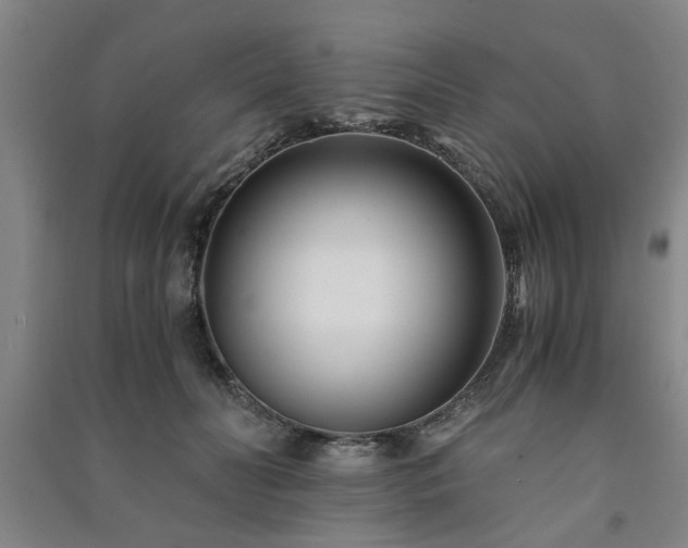 X0000091220606200708161658