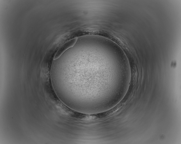 X0000091220609200708161658