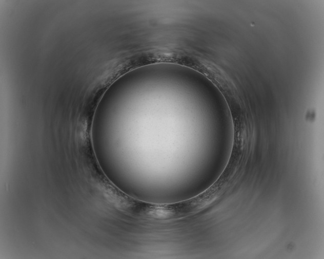 X0000091220610200708161658