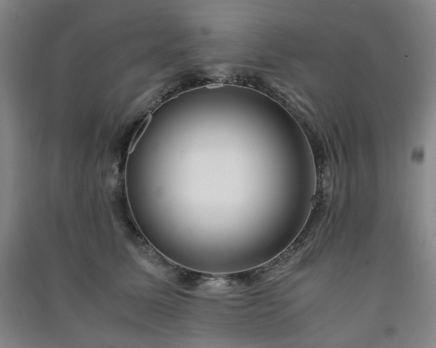 X0000091220611200708161658