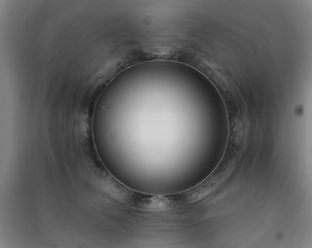 X0000091220612200708161658