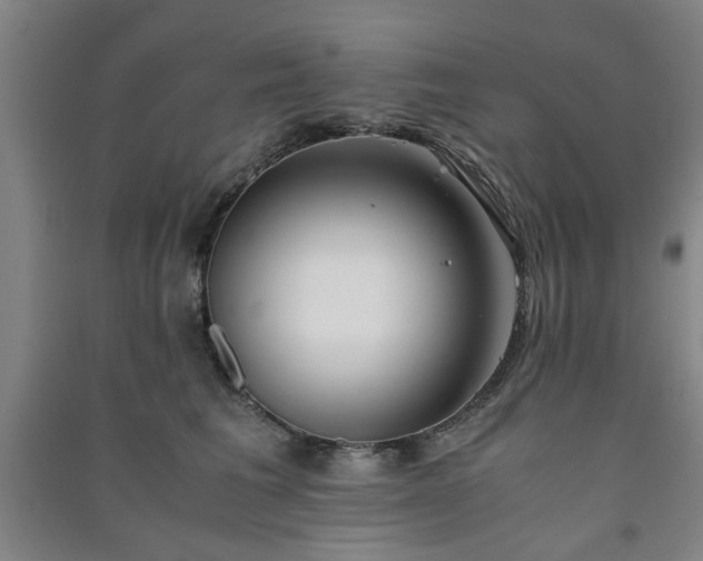 X0000091220613200708161658