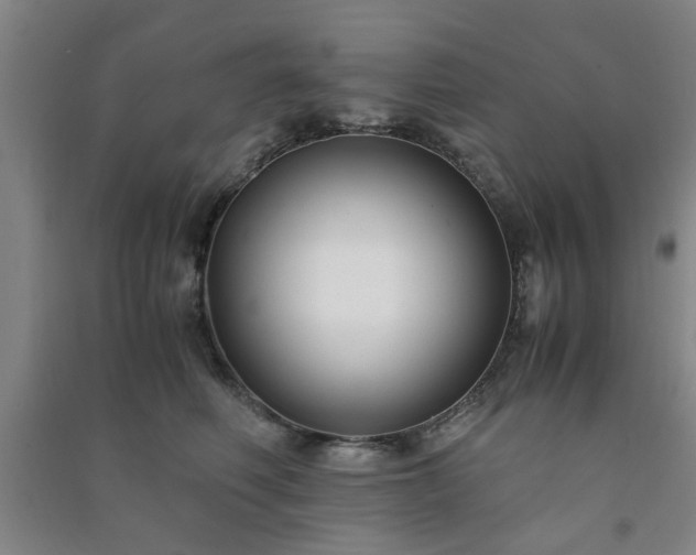 X0000091220614200708161658