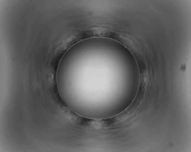 X0000091220615200708161658