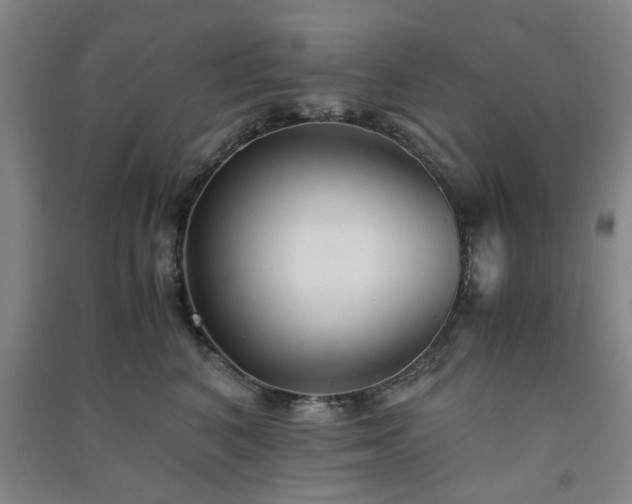 X0000091220616200708161658