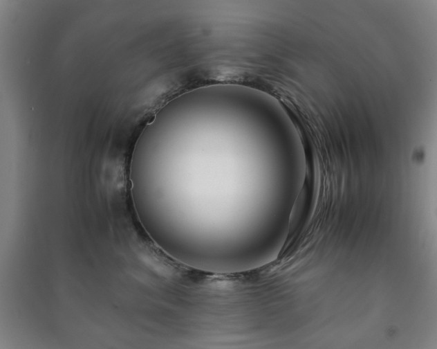 X0000091220620200708161658