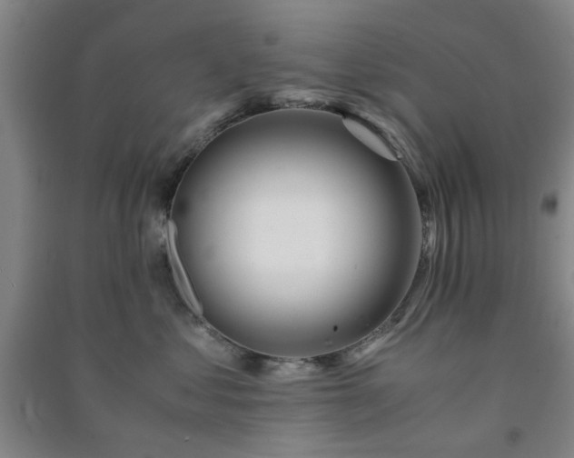 X0000091220621200708161658