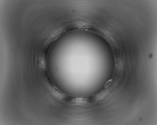 X0000091220622200708161658