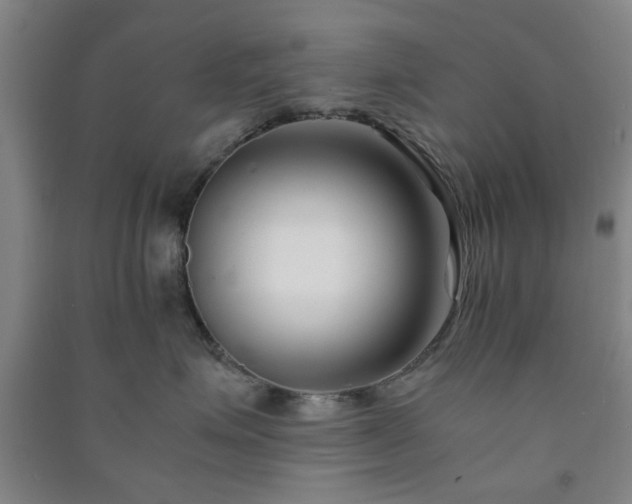 X0000091220623200708161658