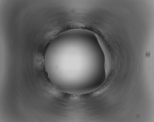 X0000091220624200708161657