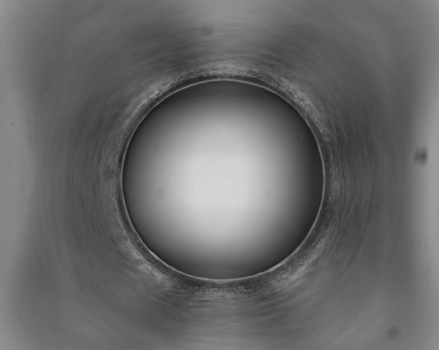 X0000091220625200708161657