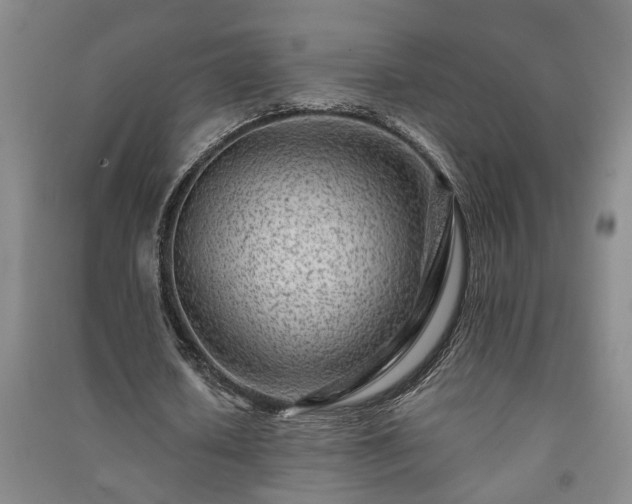 X0000091220626200708161657