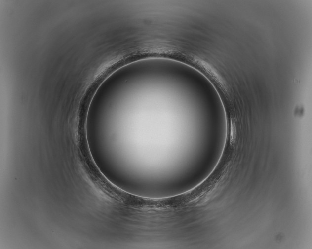 X0000091220627200708161657