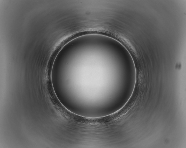 X0000091220628200708161657