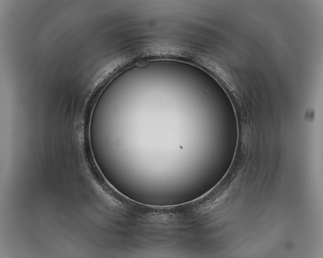 X0000091220629200708161657