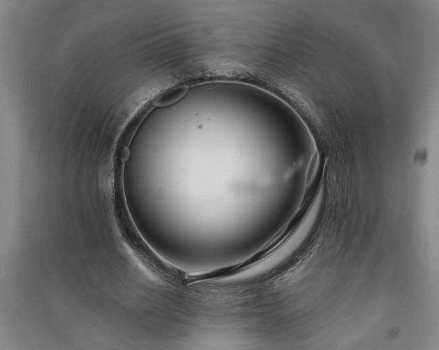 X0000091220630200708161657