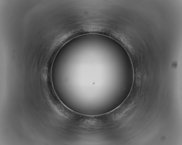 X0000091220631200708161657