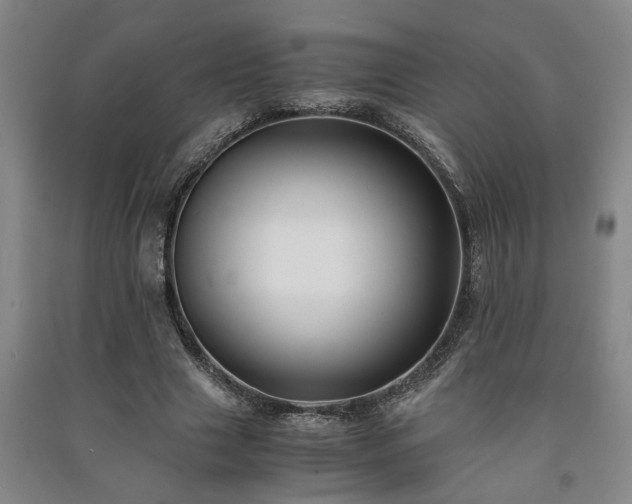 X0000091220633200708161657