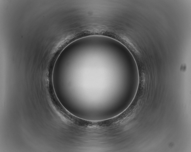 X0000091220634200708161657