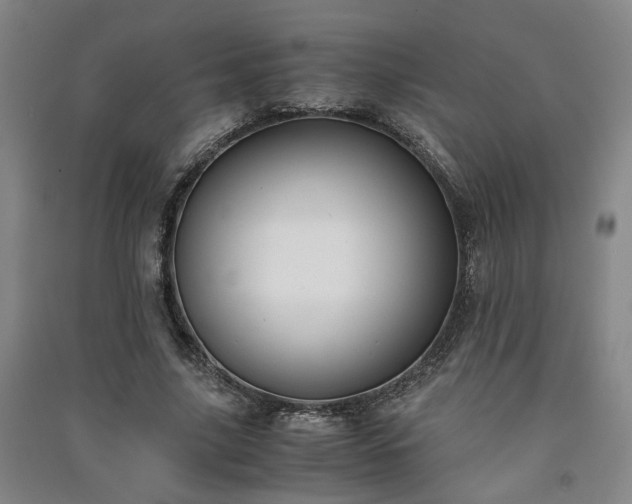 X0000091220635200708161657