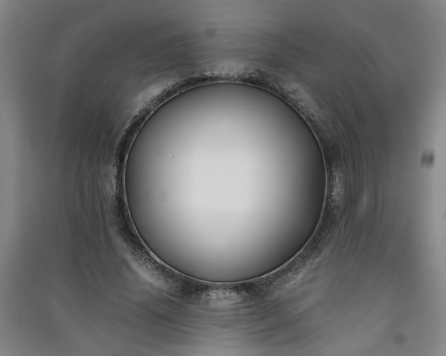 X0000091220636200708161657