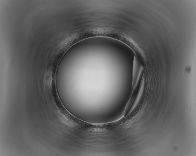 X0000091220637200708161657