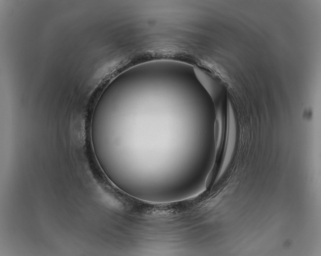 X0000091220638200708161657