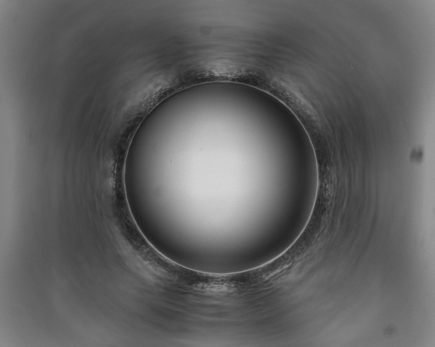 X0000091220639200708161657